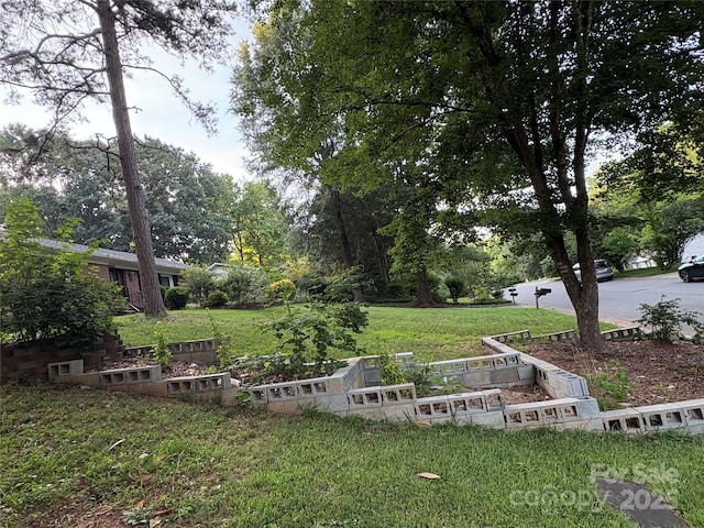 10428 Landon St, Charlotte, NC 28215 - photo 1