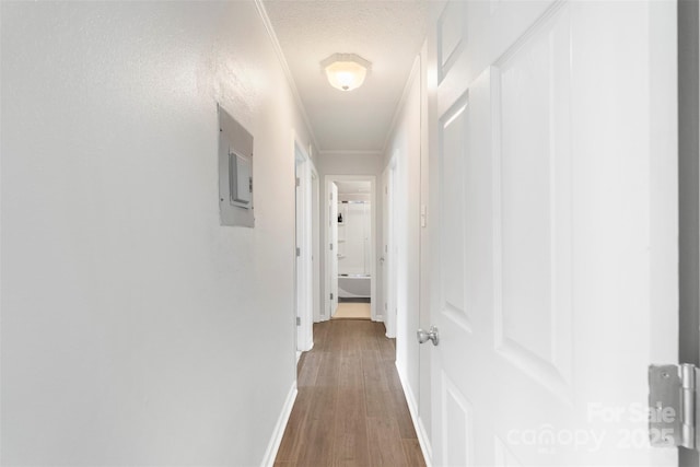 718 E Maple Ave, Gastonia, NC 28054 - corridor with electric panel, crown molding, wood finished floors, and a textured ceiling