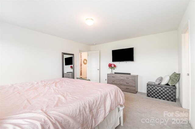 1111 Freeman View Dr, Albemarle, NC 28001 - bedroom featuring carpet floors