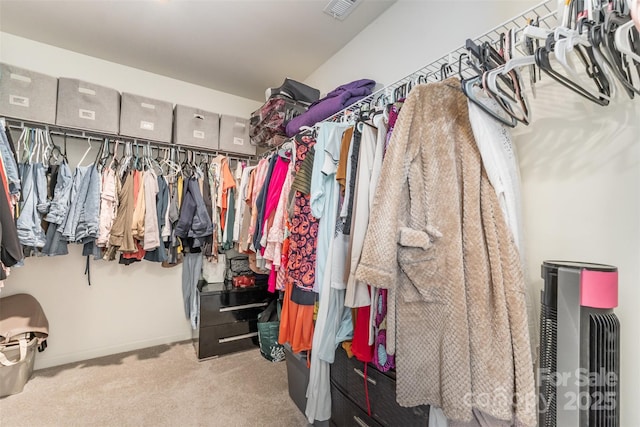 1111 Freeman View Dr, Albemarle, NC 28001 - walk in closet with carpet flooring