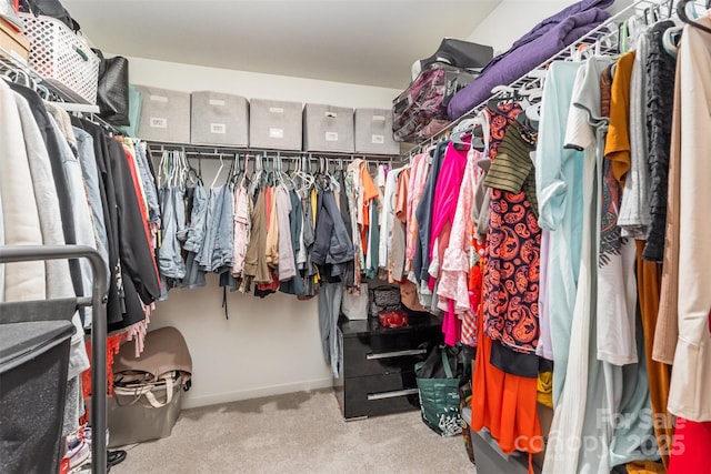 1111 Freeman View Dr, Albemarle, NC 28001 - spacious closet with carpet flooring