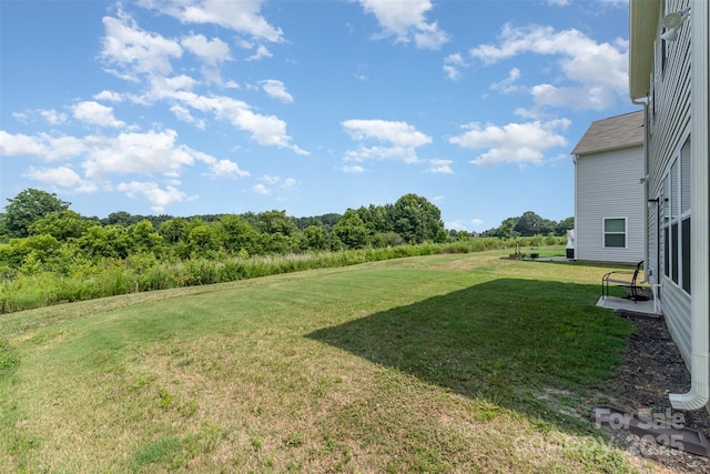 1111 Freeman View Dr, Albemarle, NC 28001 - view of green lawn