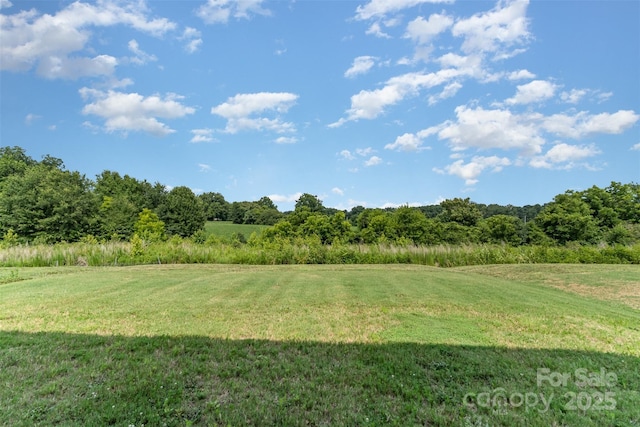 1111 Freeman View Dr, Albemarle, NC 28001 - view of green lawn