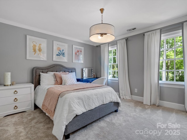 11624 Glenn Abbey Way, Charlotte, NC 28277 - bedroom featuring ornamental molding and carpet flooring