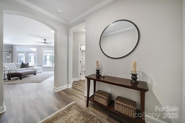 2019 Trailwood Dr, Matthews, NC 28104 - hall with wood finished floors and ornamental molding