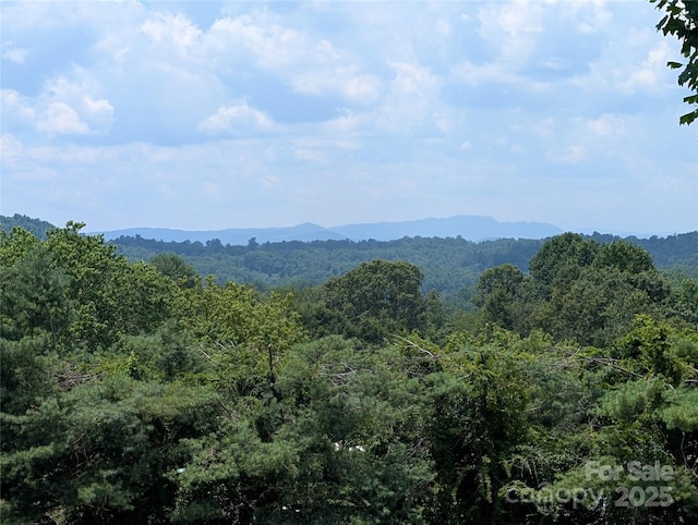 403 Union Hill Rd, Hendersonville, NC 28792 - photo 1