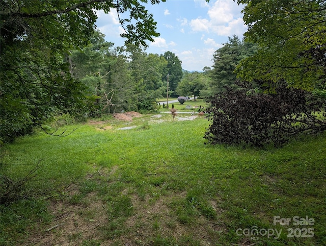 403 Union Hill Rd, Hendersonville, NC 28792 - photo 26