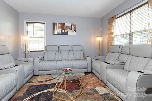 172 Roanoke Rd, Fletcher, NC 28732 - view of living room