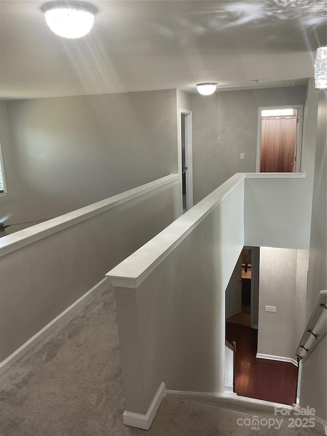 172 Roanoke Rd, Fletcher, NC 28732 - staircase with carpet floors