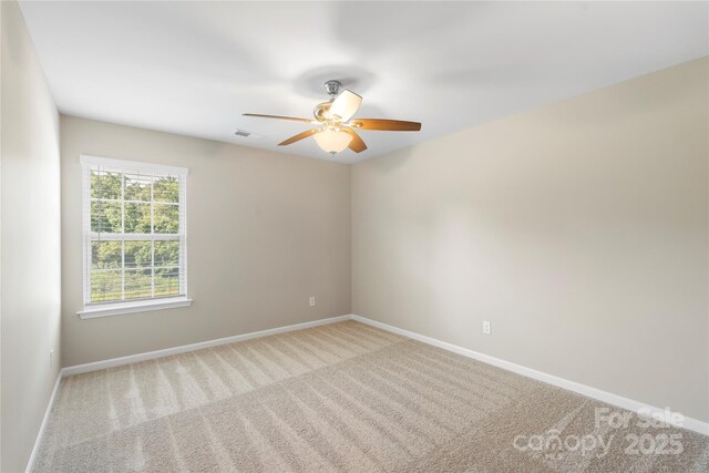 7025 Pennyroyal Way, Charlotte, NC 28216 - photo 34