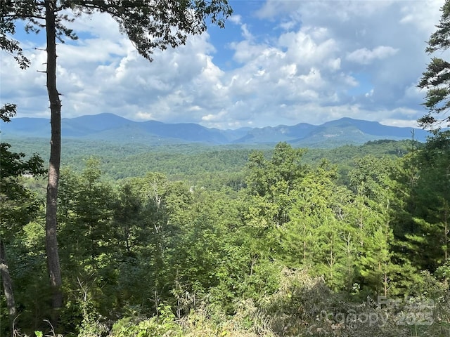 00 Bills Mountain Trl Unit 6, Lake Lure, NC 28746 - photo 1