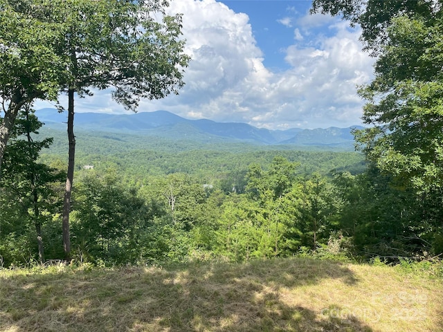 00 Bills Mountain Trl Unit 6, Lake Lure, NC 28746 - photo 2