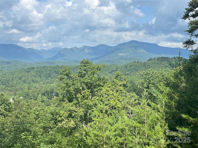 00 Bills Mountain Trl Unit 6, Lake Lure, NC 28746 - photo 3