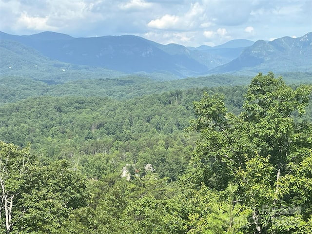 00 Bills Mountain Trl Unit 6, Lake Lure, NC 28746 - photo 4