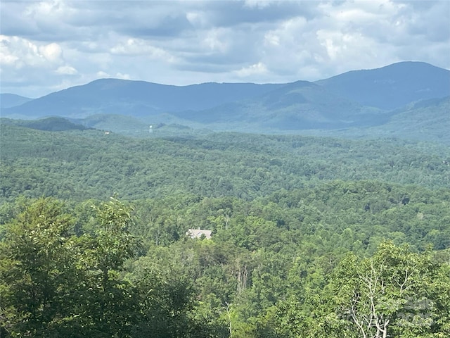 00 Bills Mountain Trl Unit 6, Lake Lure, NC 28746 - photo 5