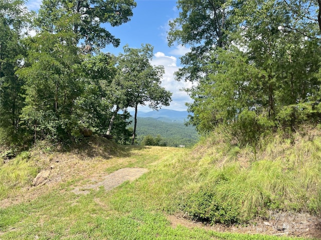 00 Bills Mountain Trl Unit 6, Lake Lure, NC 28746 - photo 6