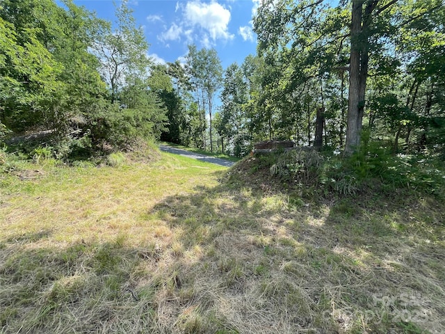 00 Bills Mountain Trl Unit 6, Lake Lure, NC 28746 - photo 7