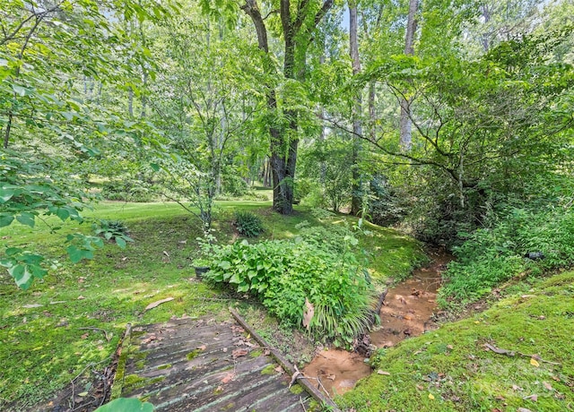 975 Buchanan Loop, Sylva, NC 28779 - view of undeveloped land