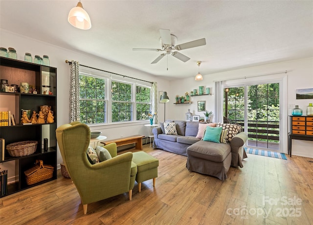975 Buchanan Loop, Sylva, NC 28779 - living area featuring wood-type flooring, ceiling fan, and plenty of natural light