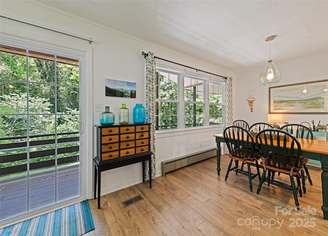 975 Buchanan Loop, Sylva, NC 28779 - dining space featuring a baseboard heating unit, hardwood / wood-style floors, and healthy amount of natural light
