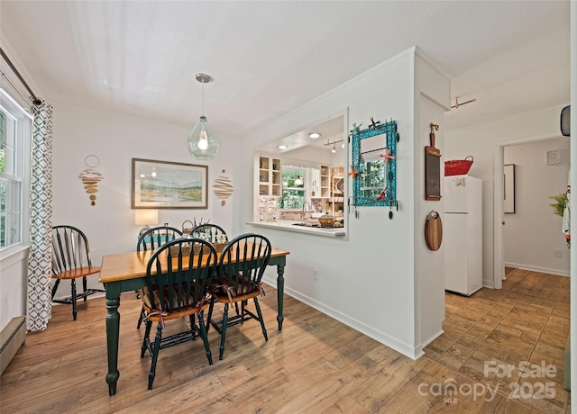975 Buchanan Loop, Sylva, NC 28779 - dining room featuring baseboard heating and wood finished floors