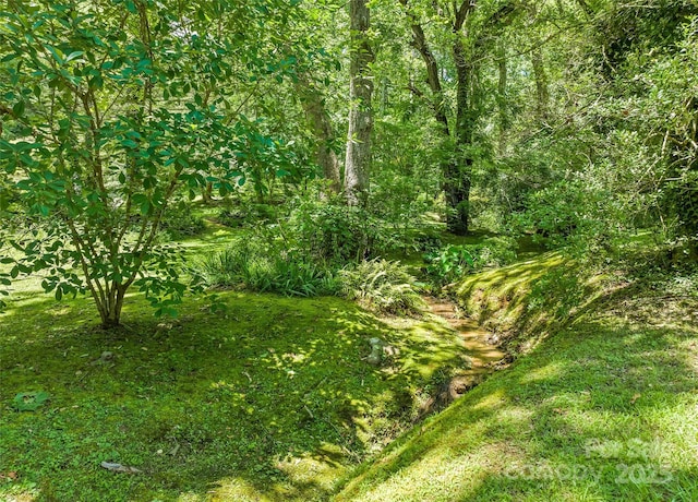 975 Buchanan Loop, Sylva, NC 28779 - view of nature