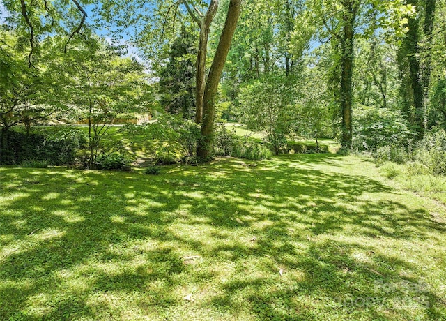 975 Buchanan Loop, Sylva, NC 28779 - view of grassy yard