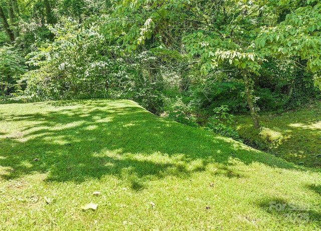 975 Buchanan Loop, Sylva, NC 28779 - view of grassy yard featuring a view of trees