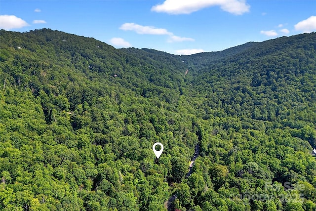 176 Fairview Forest Dr, Fairview, NC 28730 - photo 35