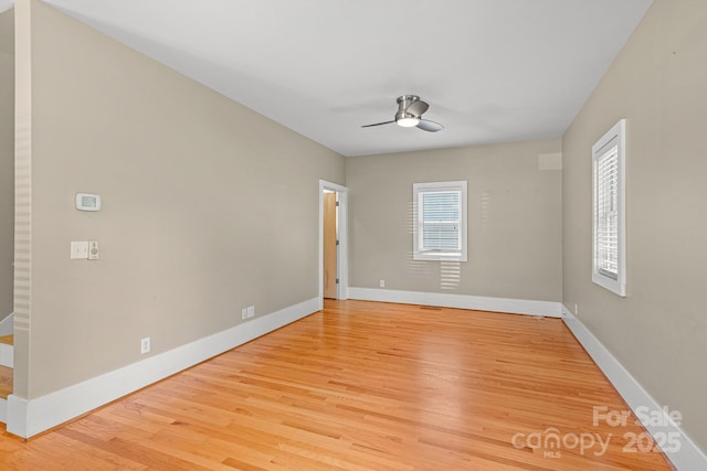 50 Greeley St, Asheville, NC 28806 - photo 19