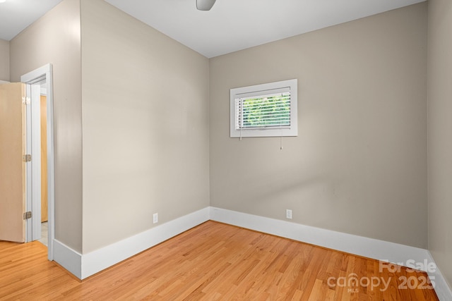 50 Greeley St, Asheville, NC 28806 - photo 23
