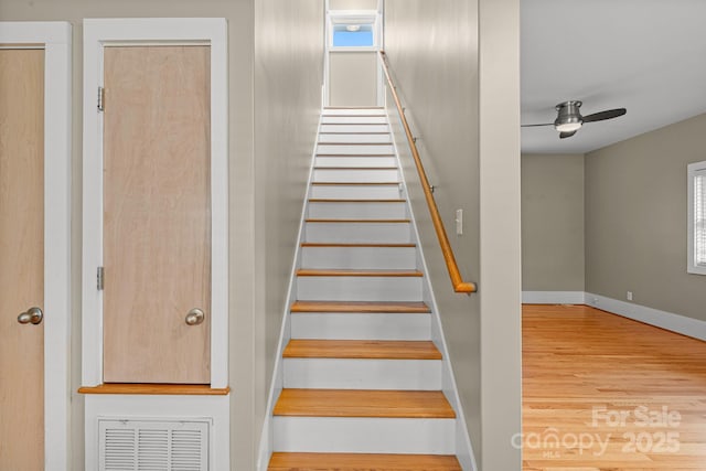 50 Greeley St, Asheville, NC 28806 - photo 24