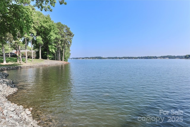 226 NW Dr, Davidson, NC 28036 - photo 48