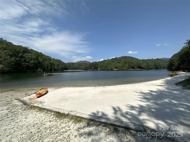 263 Shannons Walk, Lake Lure, NC 28746 - photo 41