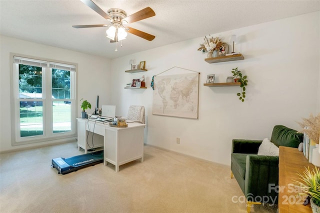 924 Holly Rd, Rock Hill, SC 29730 - office area with light colored carpet and ceiling fan