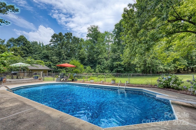 924 Holly Rd, Rock Hill, SC 29730 - view of pool with a diving board