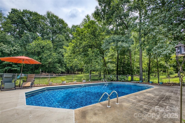 924 Holly Rd, Rock Hill, SC 29730 - view of pool with a patio and view of scattered trees