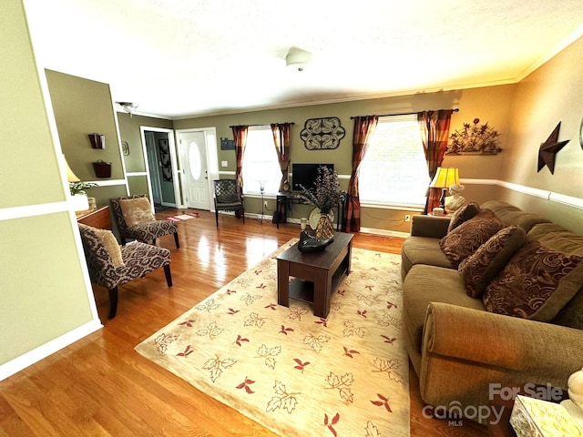 25 Norman Rd, Fletcher, NC 28732 - living room featuring wood finished floors and crown molding