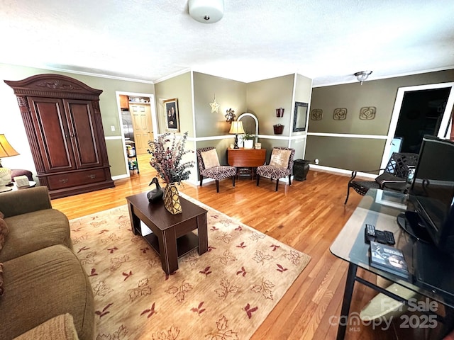25 Norman Rd, Fletcher, NC 28732 - living room with ornamental molding, light wood-style floors, and a textured ceiling