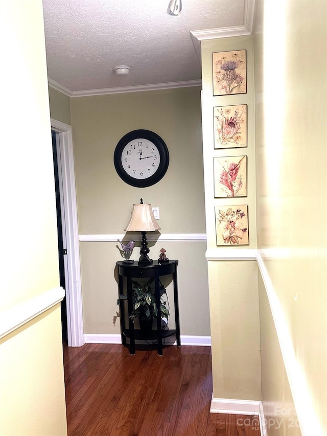 25 Norman Rd, Fletcher, NC 28732 - hall featuring wood finished floors, crown molding, and a textured ceiling