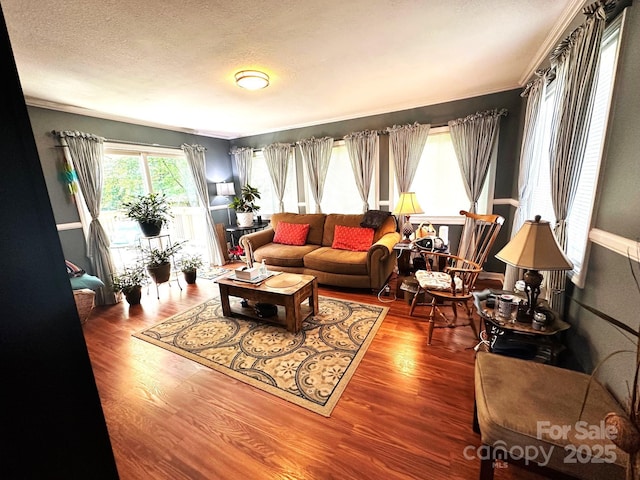 25 Norman Rd, Fletcher, NC 28732 - living area with wood finished floors, ornamental molding, and a textured ceiling