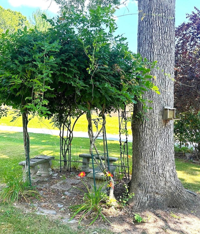 25 Norman Rd, Fletcher, NC 28732 - view of grassy yard