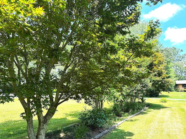 25 Norman Rd, Fletcher, NC 28732 - view of grassy yard