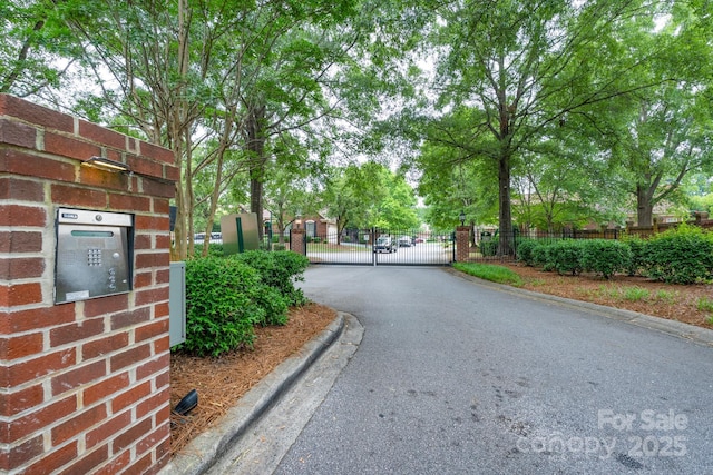 10511 Pullengreen Dr, Charlotte, NC 28277 - view of asphalt street with a gate, curbs, and a gated entry