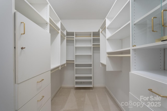 10511 Pullengreen Dr, Charlotte, NC 28277 - spacious closet with light carpet