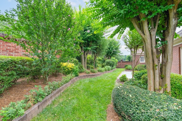 10511 Pullengreen Dr, Charlotte, NC 28277 - view of yard