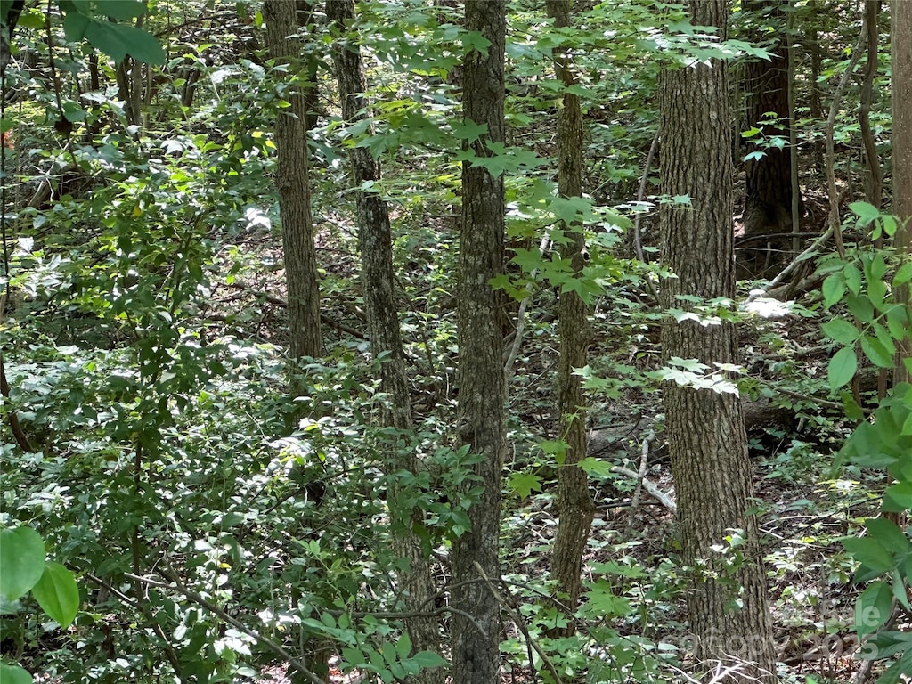 11325 Rozzelles Ferry Rd, Charlotte, NC 28214 - photo 2