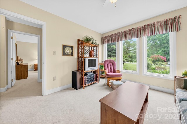 110 Old Squaw Rd, Mooresville, NC 28117 - photo 35
