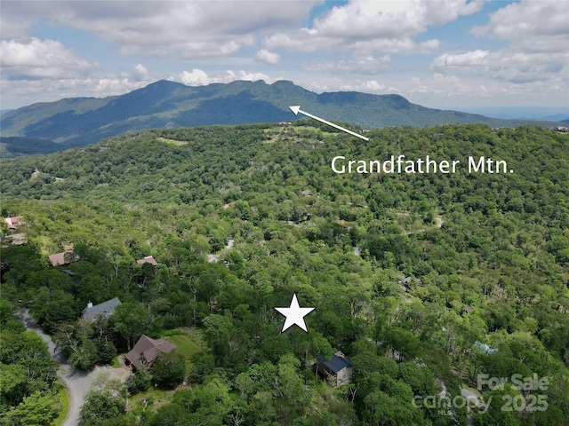 255/256 Grouse Moor Dr Unit 255/256, Sugar Mountain, NC 28604
