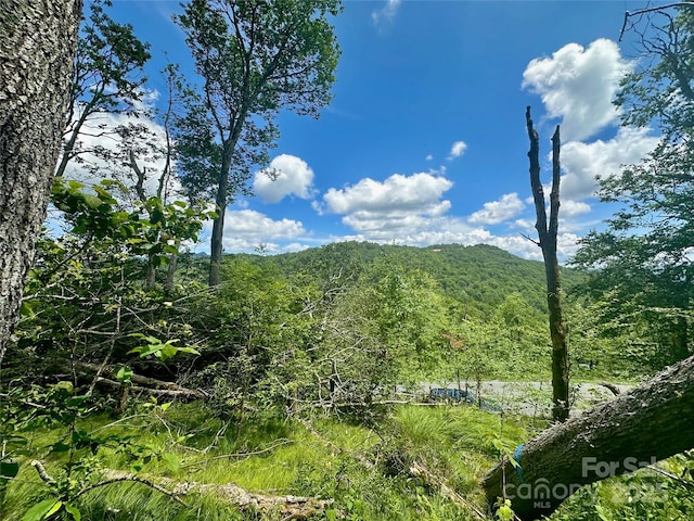 255/256 Grouse Moor Dr Unit 255/256, Sugar Mountain, NC 28604